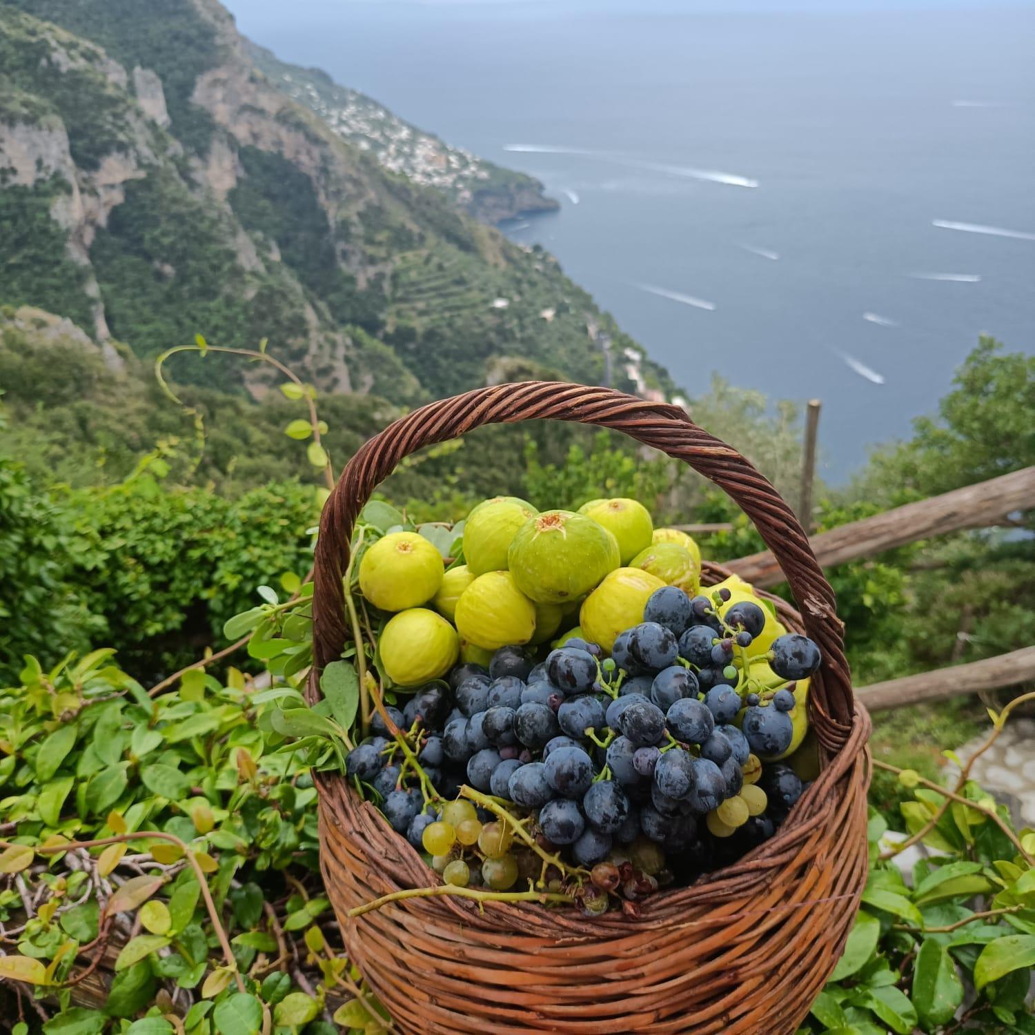 Villa Antica Macina Positano Exterior photo
