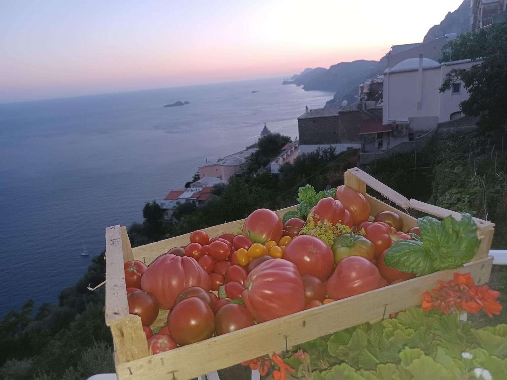 Villa Antica Macina Positano Exterior photo