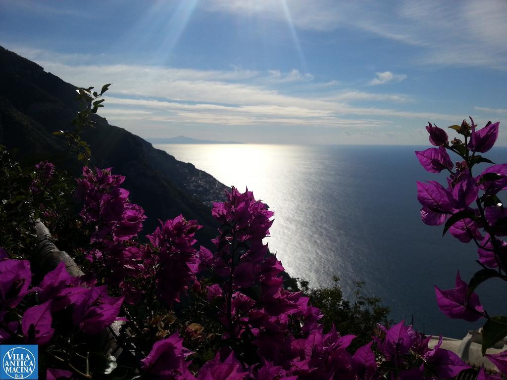 Villa Antica Macina Positano Room photo