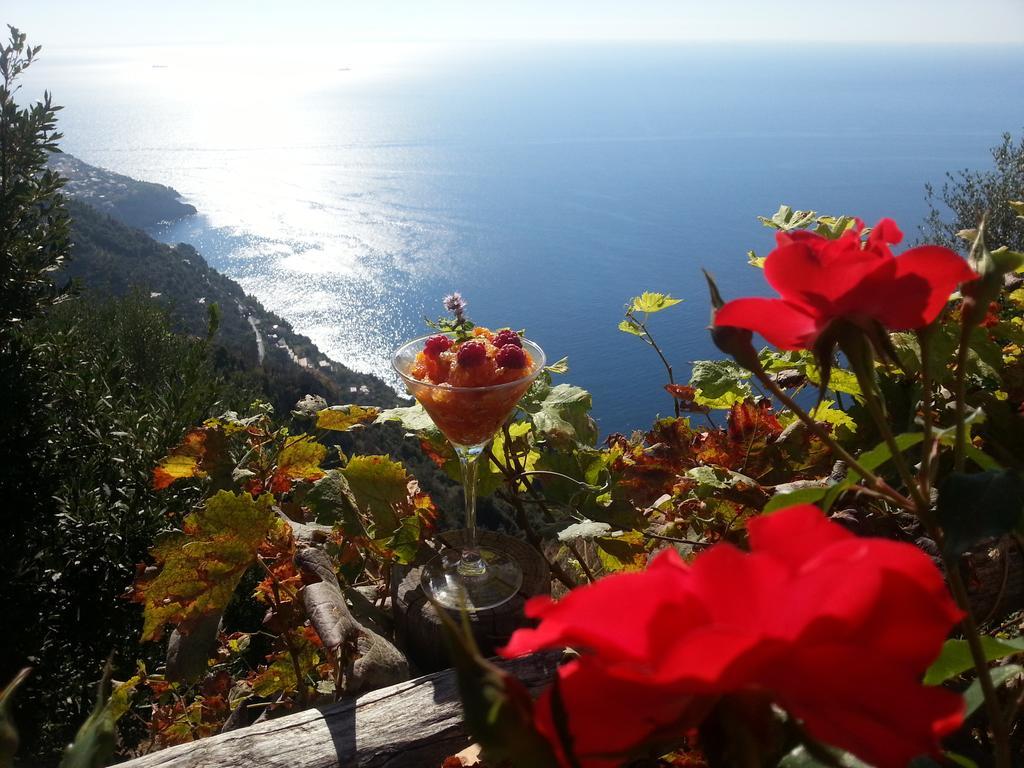 Villa Antica Macina Positano Exterior photo