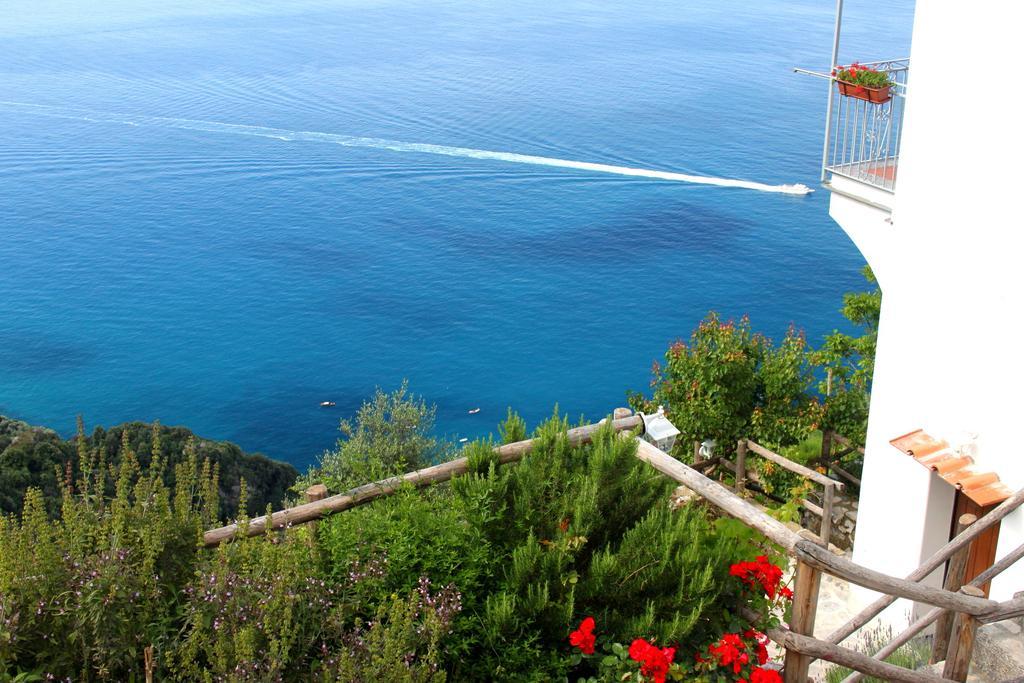 Villa Antica Macina Positano Exterior photo