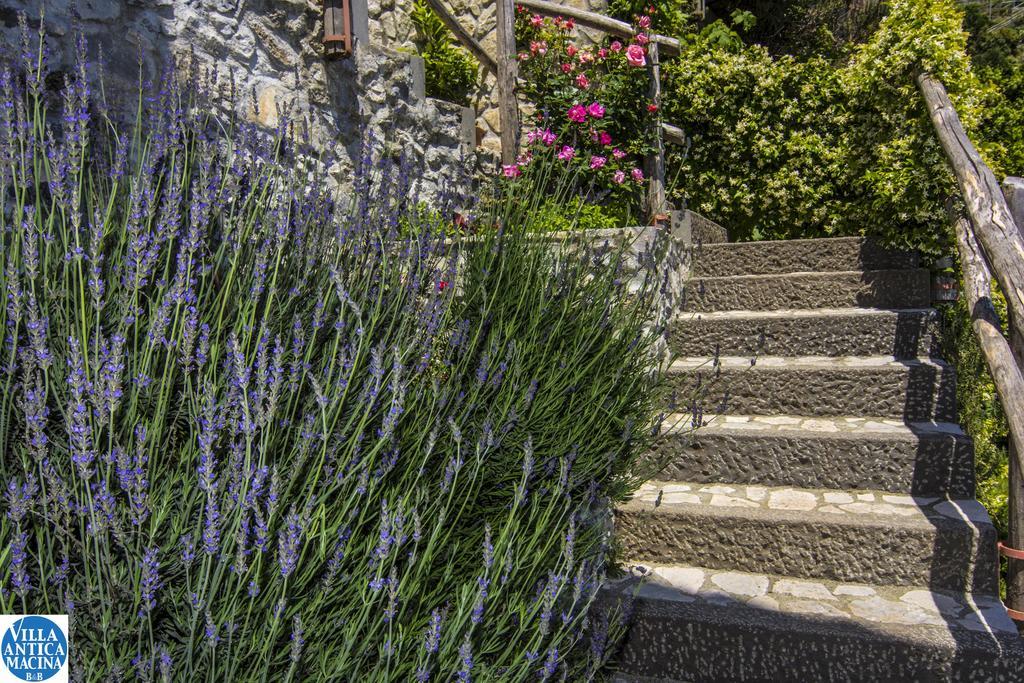 Villa Antica Macina Positano Exterior photo