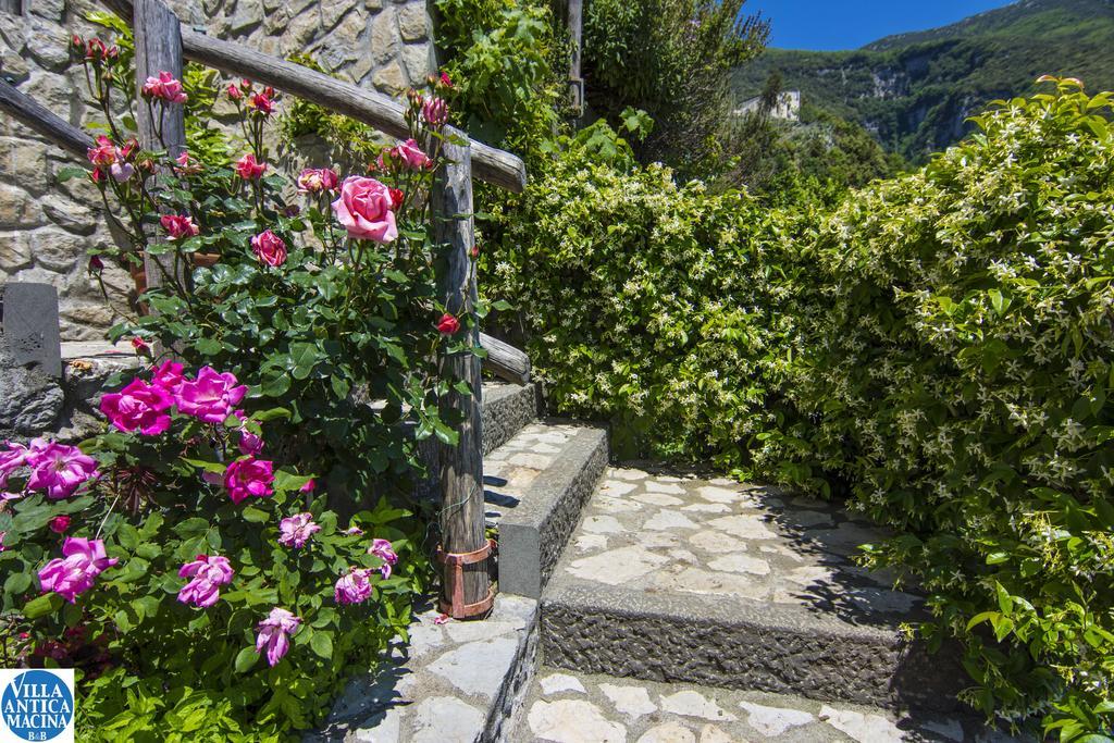 Villa Antica Macina Positano Exterior photo