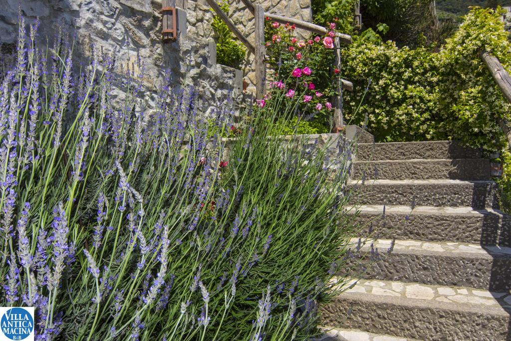 Villa Antica Macina Positano Exterior photo